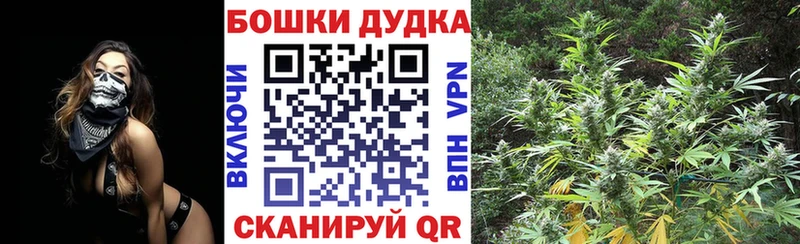 Купить наркоту Звенигово ГАШ Alpha-PVP МЕФ КОКАИН