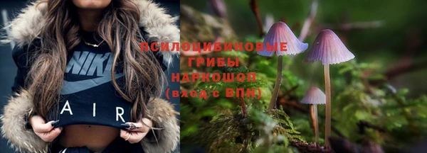 дживик Алзамай